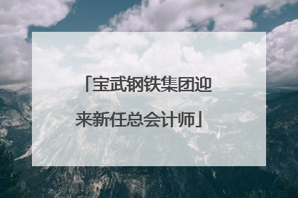 宝武钢铁集团迎来新任总会计师