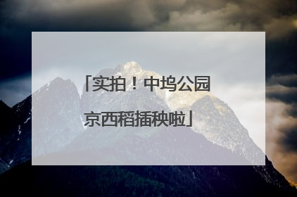 实拍！中坞公园京西稻插秧啦