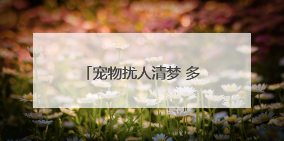 宠物扰人清梦 多方合力化解纠纷