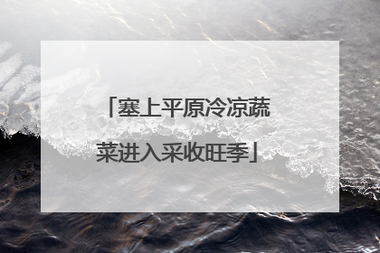 塞上平原冷凉蔬菜进入采收旺季