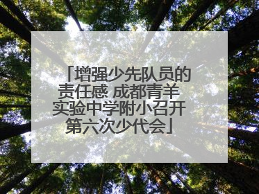 增强少先队员的责任感 成都青羊实验中学附小召开第六次少代会