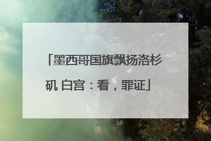 墨西哥国旗飘扬洛杉矶 白宫：看，罪证