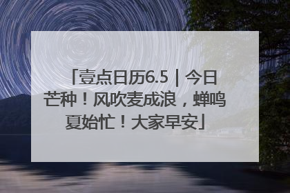 壹点日历6.5｜今日芒种！风吹麦成浪，蝉鸣夏始忙！大家早安