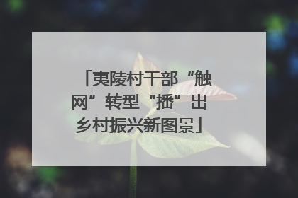 夷陵村干部“触网”转型“播”出乡村振兴新图景