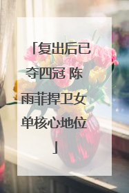 复出后已夺四冠 陈雨菲捍卫女单核心地位