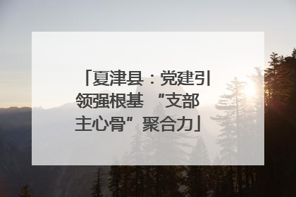 夏津县：党建引领强根基 “支部主心骨”聚合力