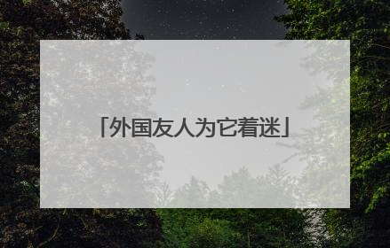 外国友人为它着迷