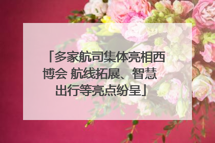 多家航司集体亮相西博会 航线拓展、智慧出行等亮点纷呈