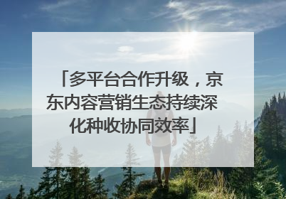 多平台合作升级，京东内容营销生态持续深化种收协同效率