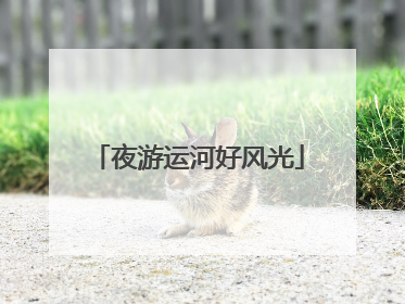 夜游运河好风光