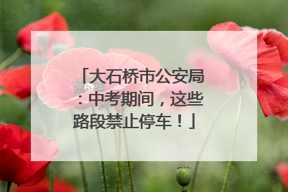 大石桥市公安局：中考期间，这些路段禁止停车！