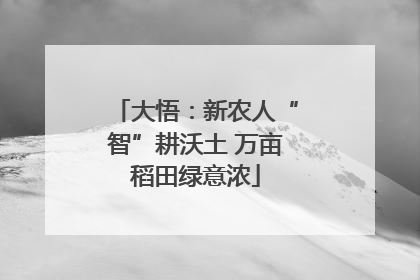 大悟：新农人“智”耕沃土 万亩稻田绿意浓