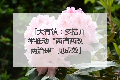 大有镇：多措并举推动“两清两改两治理”见成效