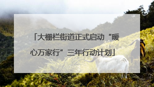 大栅栏街道正式启动“暖心万家行”三年行动计划