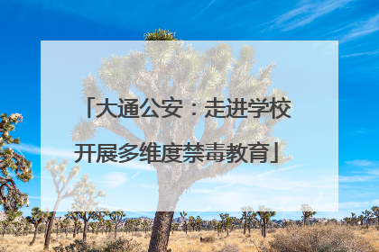 大通公安：走进学校开展多维度禁毒教育