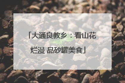 大通良教乡：看山花烂漫 品砂罐美食