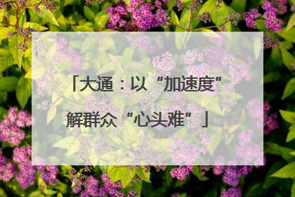 大通：以“加速度”解群众“心头难”