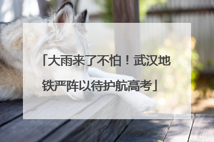 大雨来了不怕！武汉地铁严阵以待护航高考