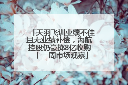天羽飞训业绩不佳且无业绩补偿，海航控股仍豪掷8亿收购丨一周市场观察