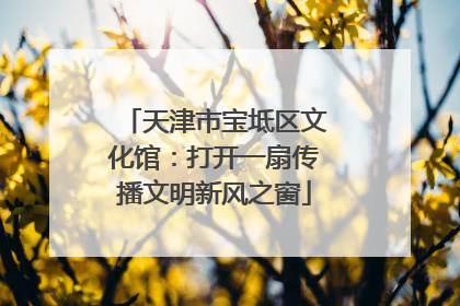 天津市宝坻区文化馆：打开一扇传播文明新风之窗