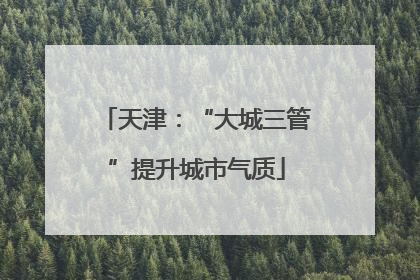 天津：“大城三管”提升城市气质