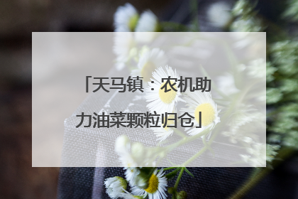 天马镇：农机助力油菜颗粒归仓