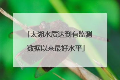 太湖水质达到有监测数据以来最好水平