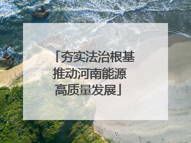 夯实法治根基 推动河南能源高质量发展