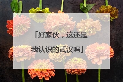 好家伙，这还是我认识的武汉吗