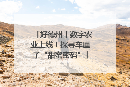 好德州丨数字农业上线！探寻车厘子“甜蜜密码”