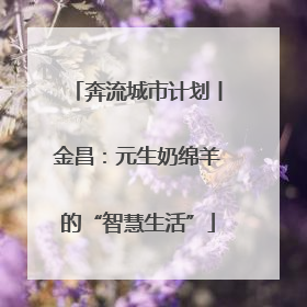 奔流城市计划丨金昌：元生奶绵羊的“智慧生活”