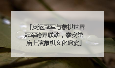 奥运冠军与象棋世界冠军跨界联动，泰安岱庙上演象棋文化盛宴