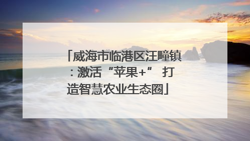 威海市临港区汪疃镇：激活“苹果+” 打造智慧农业生态圈