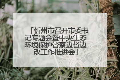 忻州市召开市委书记专题会暨中央生态环境保护督察边督边改工作推进会