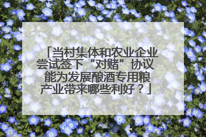 当村集体和农业企业尝试签下“对赌”协议 能为发展酿酒专用粮产业带来哪些利好？