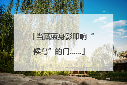 当藏蓝身影叩响“候鸟”的门……