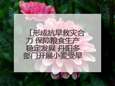 形成抗旱救灾合力 保障粮食生产稳定发展 丹阳多部门开展小麦受旱情况调研