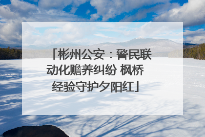 彬州公安：警民联动化赡养纠纷 枫桥经验守护夕阳红