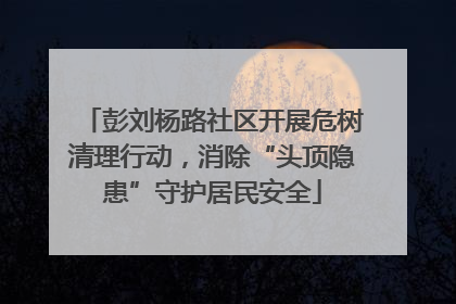 彭刘杨路社区开展危树清理行动，消除“头顶隐患”守护居民安全