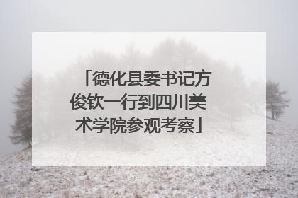 德化县委书记方俊钦一行到四川美术学院参观考察