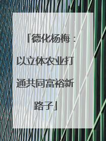 德化杨梅：以立体农业打通共同富裕新路子