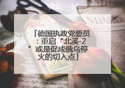 德国执政党要员：重启“北溪-2”或是促成俄乌停火的切入点