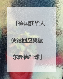 德国驻华大使馆回应樊振东赴德打球