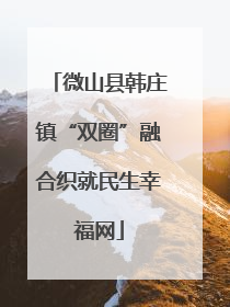 微山县韩庄镇“双圈”融合织就民生幸福网