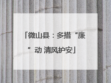微山县：多措“廉”动 清风护安