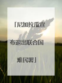 尼加拉瓜宣布退出联合国难民署