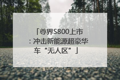 尊界S800上市：冲击新能源超豪华车“无人区”