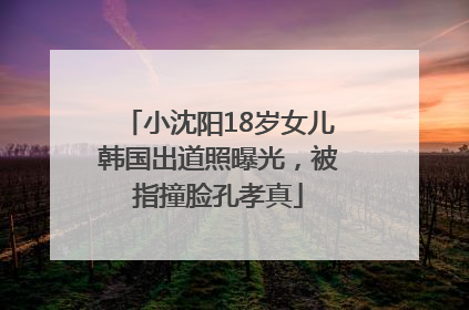 小沈阳18岁女儿韩国出道照曝光，被指撞脸孔孝真