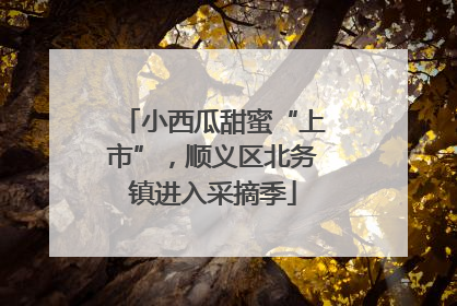 小西瓜甜蜜“上市”，顺义区北务镇进入采摘季