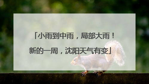 小雨到中雨，局部大雨！新的一周，沈阳天气有变